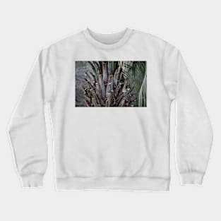 Bluebird Perched On Palm Tree Crewneck Sweatshirt